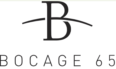 RENAISSANCE 1890 Logo